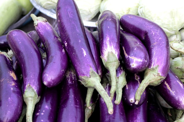 Eggplant market in the morning