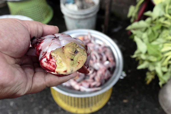 Kurbağa yemek, Tayland
