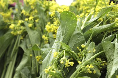 Choy tavada kızartılmış sebze ve çorba menüsü