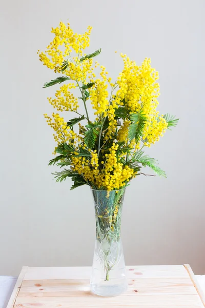 Mimoza bir ahşap tepsi bir vazoda