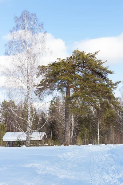 Parque natural Deer Streams. Rusia, Ural — Foto de Stock