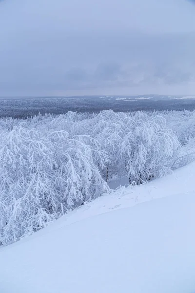 Vista Sulla Foresta Invernale Dal Monastero Belogorsky Belogorye Territorio Perm — Foto Stock