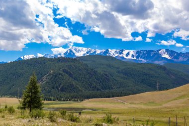 Kuzey Chuisky Ridge arka plan üzerinde ile Kurai alanda Altay Dağları.