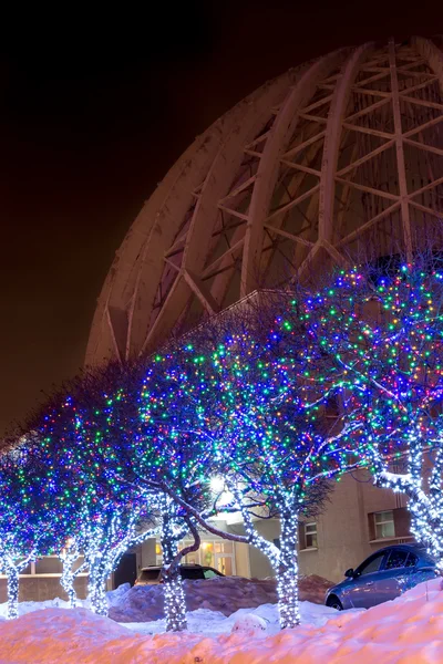 sokak ağaçları tamamen Yekaterinburg sirk arka planda renkli çelenk süslenmiş