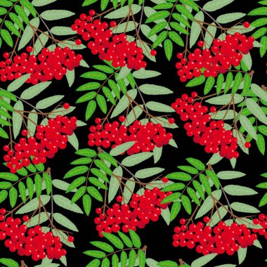 Rowan üvez vahşi kül