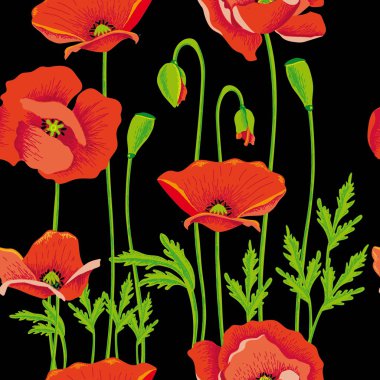 Maquis haşhaş maki