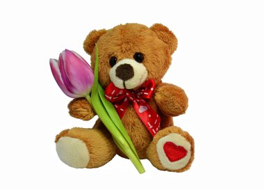 Ayıcık Hediyelik Sevgililer günü için