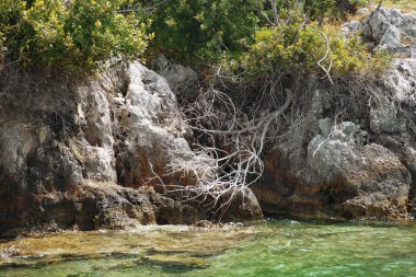Kayalık sahil antik kalıntılar