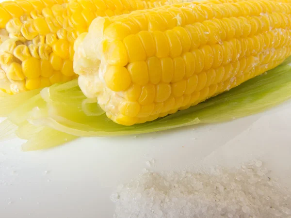 Gekookte verse rijpe maïs met zout op een plaat — Stockfoto
