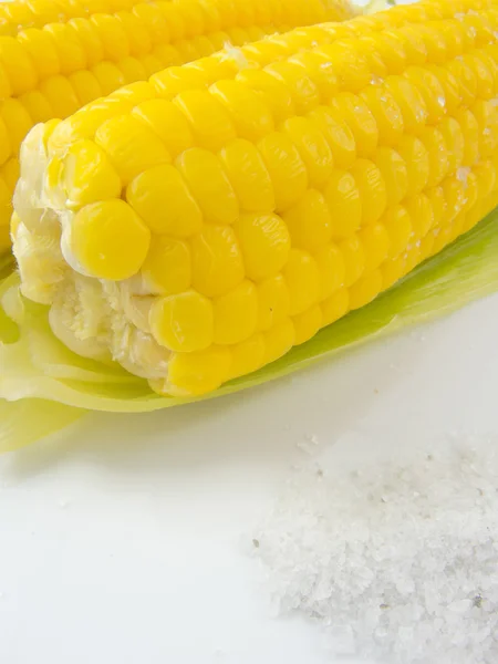 Főtt friss érett kukorica, sóval, egy tányérra — Stock Fotó