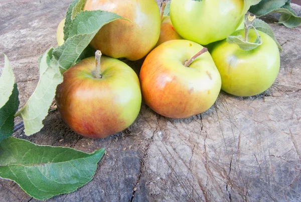El manojo de las manzanas en el tronco — Foto de Stock