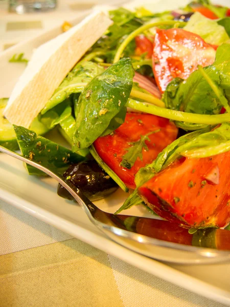 Osvěžující Zeleninový Salát Balkánským Sýrem Stranou — Stock fotografie