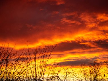 Bulutlu renkli gökyüzü. gün batımı