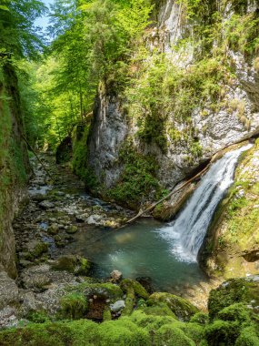 Eventai waterfall in Galbena canyon, Transylvania, Romania, Western Carpathian mountains, Apuseni national park