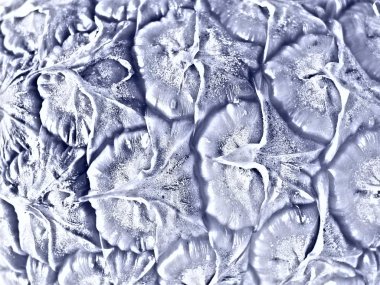 soyut ananas dış kabuğu doku