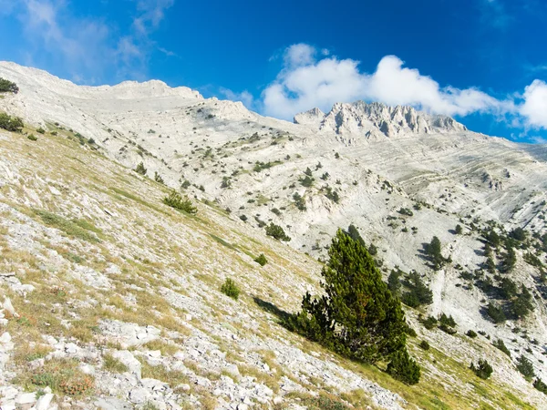 Vista del pico mytikas y picos circundantes, Grecia —  Fotos de Stock