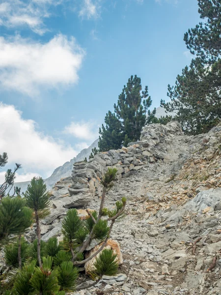 Sendero de montaña ascendente camino hacia el concepto de éxito —  Fotos de Stock