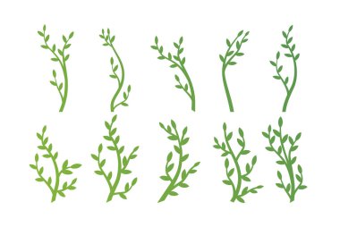 Soyut siluet yeşil çiçek dalını ekoloji, ikon yeşil ağaçlar, işaret doğası, sembol ilkbahar ve yaz için tasarım şablonu logosu için ağaçların sanat arkaplanı olarak ayarlayın. Vektör illüstrasyonu.