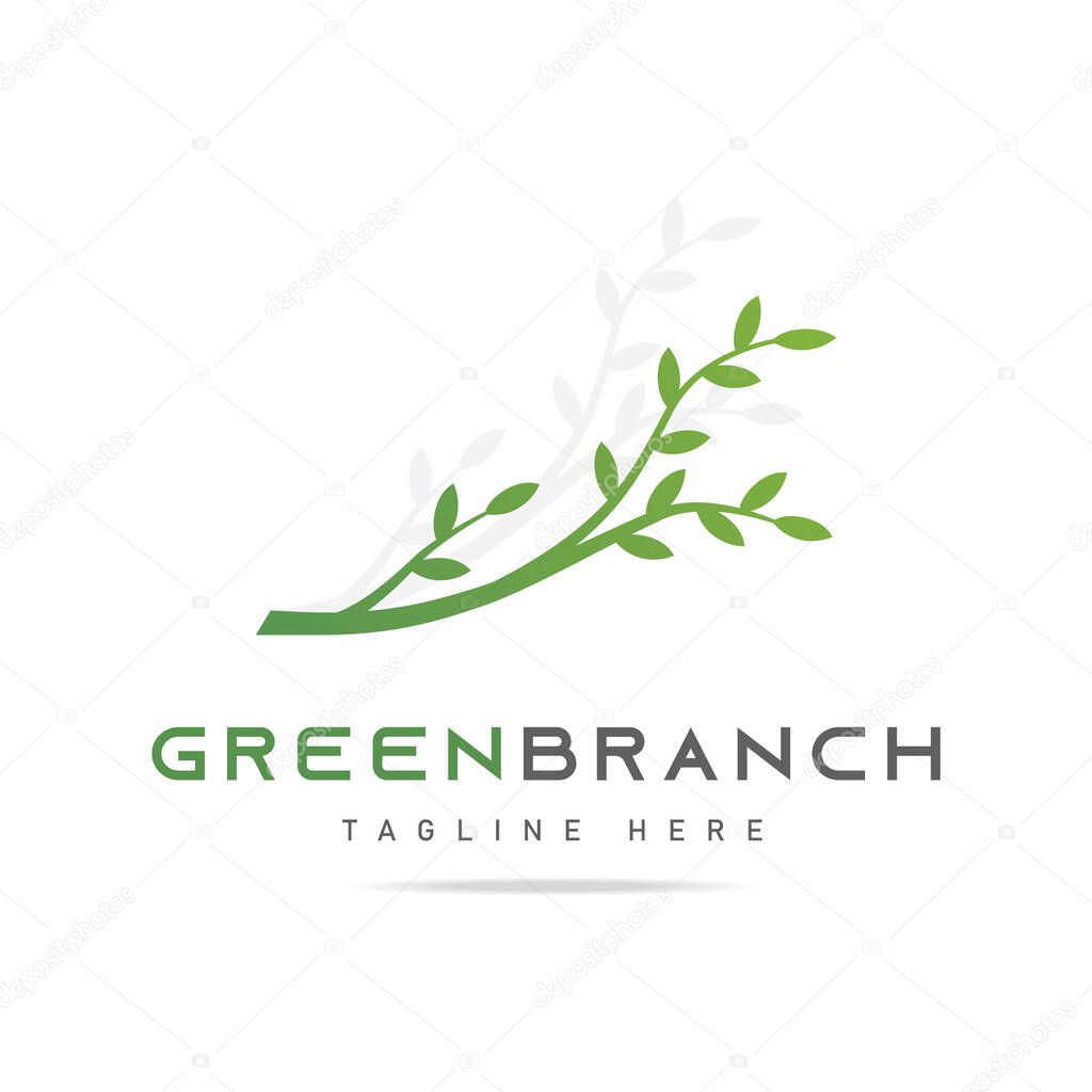 Abstract national park forest nature logo with floral green tree branches with leaves on background.Design template ecology icon, sign nature, symbol garden spring.Vector illustration