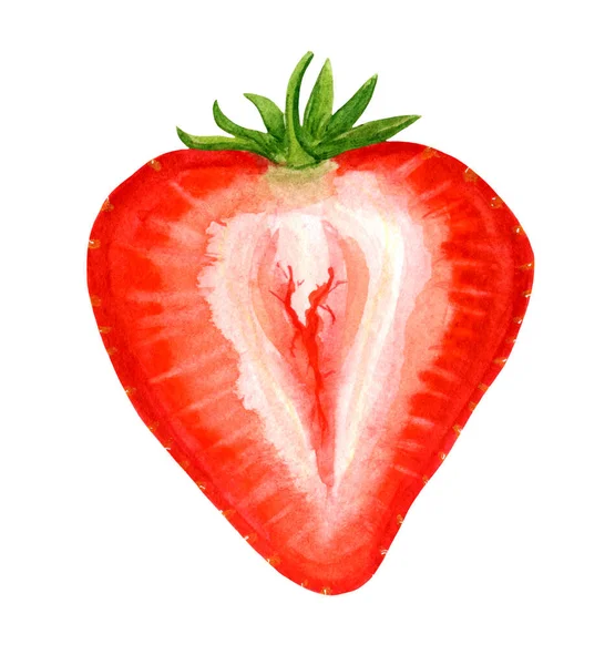 Clipart, fresas rojas y jugosas sobre un fondo blanco. — Foto de Stock