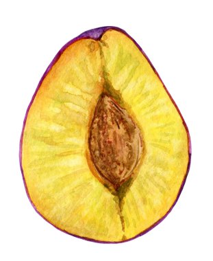 Bir taşla kesilmiş mor erik..