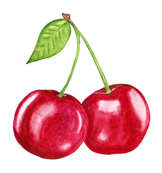 Reife rote Kirsche auf einem Zweig. Saftige Illustration von Süßkirschen-Aquarell. — Stockfoto