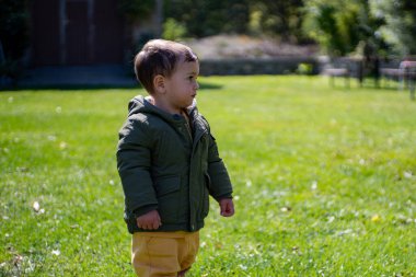 Kahverengi ceketli bebek çim ve kütüklerle tarlada oynuyor