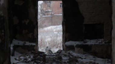 Rusya ve Ukrayna arasındaki savaş. Donets Havzası.
