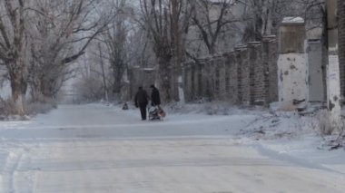 The war between Russia and Ukraine. Donbass. Trees posechennymi fragments minutes after firing mortars. Settlement Semyonovka next to Slavonic.