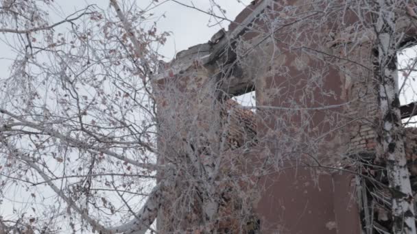 A háború, Oroszország és Ukrajna között. Donbass. Stock Videó