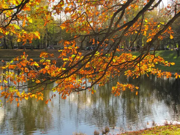 Herbstliche Natur Wandern Park Herbstliche Natur Wandern Park — Stockfoto