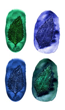 Beyaz arkaplanda yeşil ve mavi nane yaprakları.