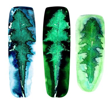 Karahindiba suluboya damga bırakır. Yeşil bitki yapraklarının benek şeklinde suluboya çizimi. 