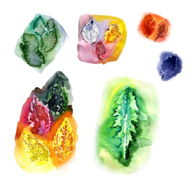 Farklı bitki yapraklarının suluboya bir parçası - kiraz, elma, karahindiba, nane, dut. Bitki yapraklarının suluboya çizimi.