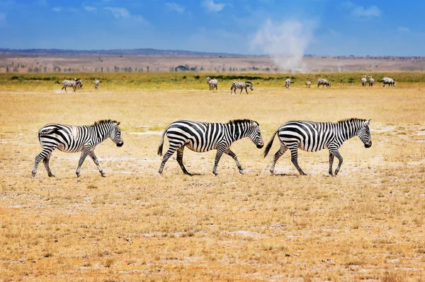 "Abbey Road in Africa" — Stock Photo, Image