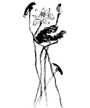 Suluboya lotus çiçeği ile tebrik kartı. Hisse senedi vektör