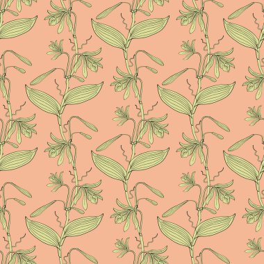 Sarı, pürüzsüz desenli, elle çizilmiş, pembe arka planda vannilla orkide çiçekleri. Stok vektörü