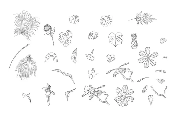 Conjunto de plantas boho tropicales monocromáticas y objetos de decoración para el hogar línea de tinta negra art. Ilustración vectorial plana. — Vector de stock