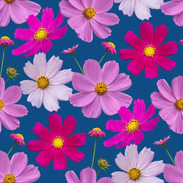 Padrão sem costura floral colorido com colagem de flores cosmos no fundo azul — Fotografia de Stock