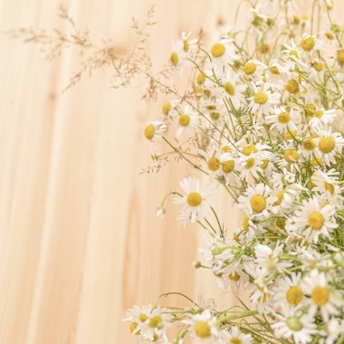 Tahta arka planda papatya buketi.