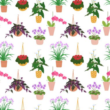 Renkli saksı saksıları, orkide ve begonyadaki farklı saksı bitkilerinden kusursuz desenler..