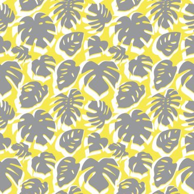 Kusursuz sarı ve gri desenli canavar yapraklı..