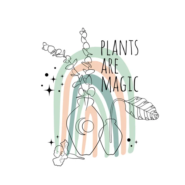 Minimalistische inspirerende citaat planten zijn magie met zwarte lijn kunst eucalyptus in een vaas en abstracte boho regenboog achtergrond — Stockvector