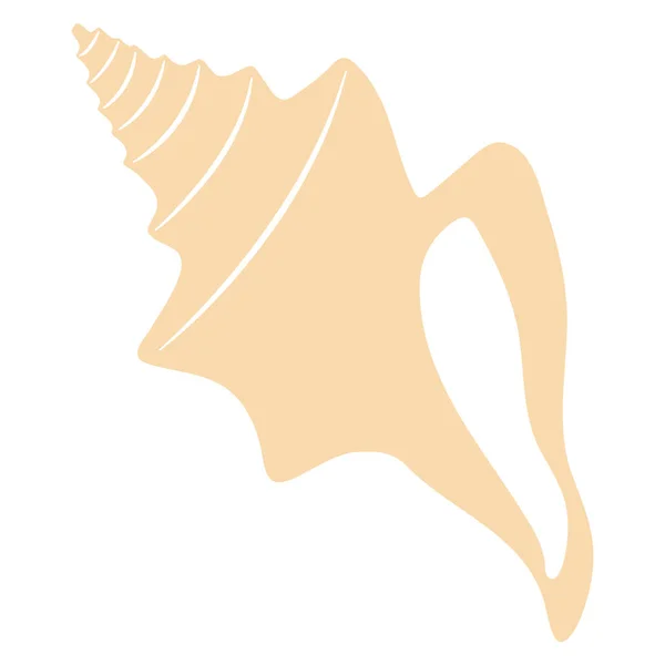 Concha do mar de Boho. Isolado sobre fundo branco — Vetor de Stock