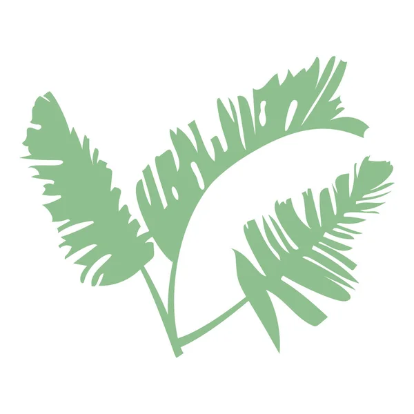 Hojas de palmera verde boho. Aislado sobre fondo blanco — Vector de stock