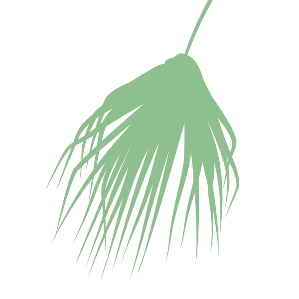 Hoja de palmera verde boho. Aislado sobre fondo blanco — Vector de stock