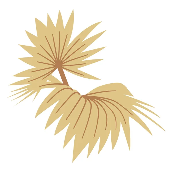 Boho kahverengi fan palmiye yaprağı. Beyaz arkaplanda izole — Stok Vektör