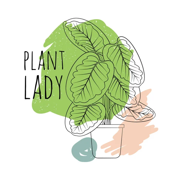 Minimalist boho απόσπασμα Plant Lady με μαύρη γραμμή τέχνης γλάστρα σπίτι φυτό calathea και αφηρημένα σχήματα φόντο — Διανυσματικό Αρχείο