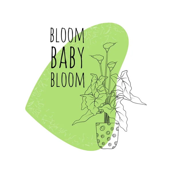 引用のミニマリストbohoイラスト花の赤ちゃんを咲かせます黒ラインアート鉢植えコールと緑のテクスチャ抽象的な形状背景 — ストックベクタ