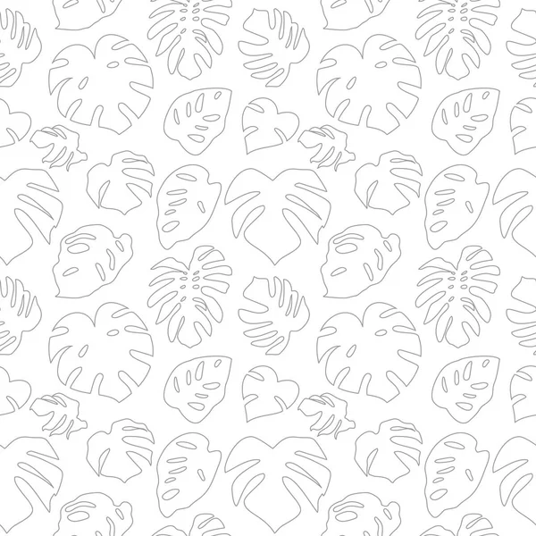 Naadloze eenvoudige monochrome patroon met grijze omtrek monstera bladeren op witte achtergrond. — Stockvector